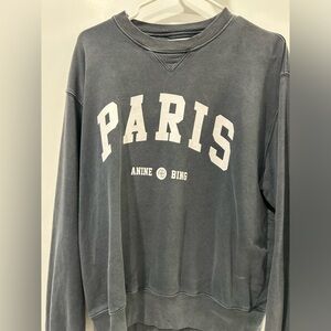 Anine Bing sweatshirt in like new condition